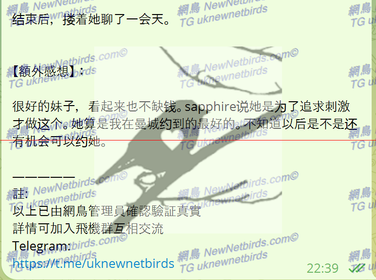 戰號 337 3.png